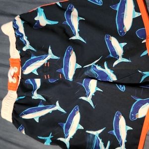 Toddler SHARK swim trunks